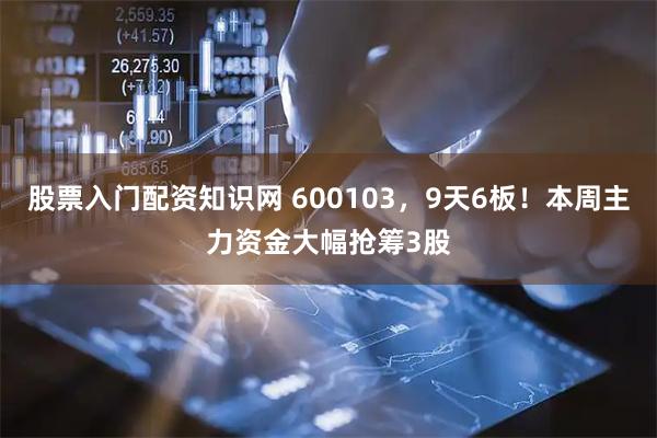 股票入门配资知识网 600103，9天6板！本周主力资金大幅抢筹3股